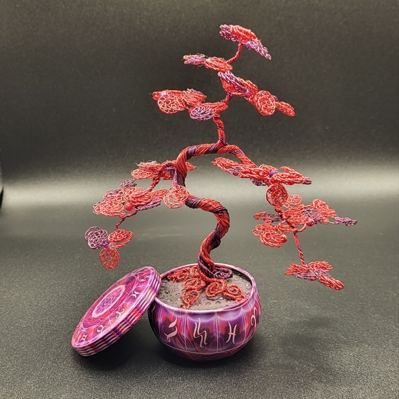 juniper tree bonsai Medium Juniper Bonsai Tree